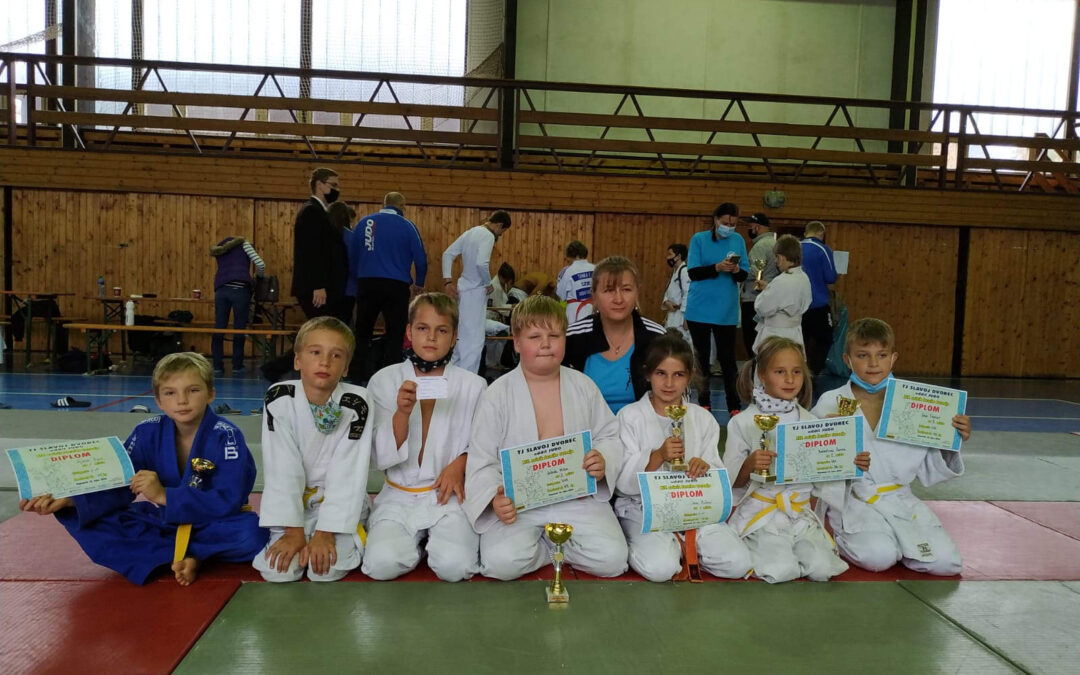 XIV. ročník Jarního turnaje Judo v Nepomuku